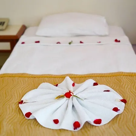 Ergun Alanya