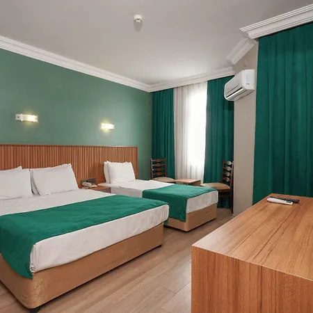 Otel Ergun 3*